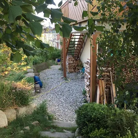 Ferienwohnung Stockrose Middelhagen Eksteriør billede